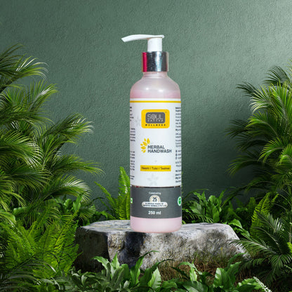 Soul Sattva Herbal Handwash (250ml)
